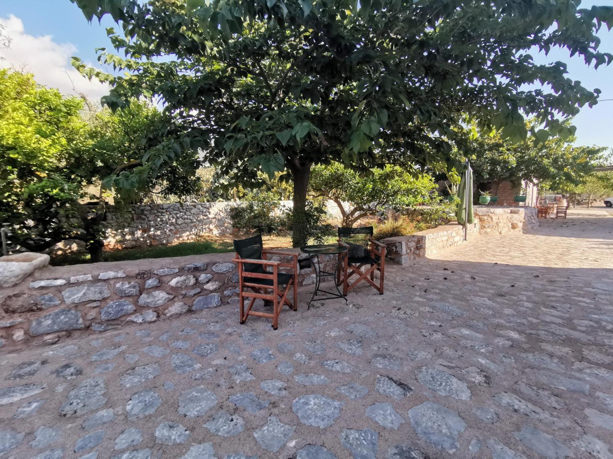 Guesthouse Toxotis Pyrgos Dirou ภายนอก รูปภาพ